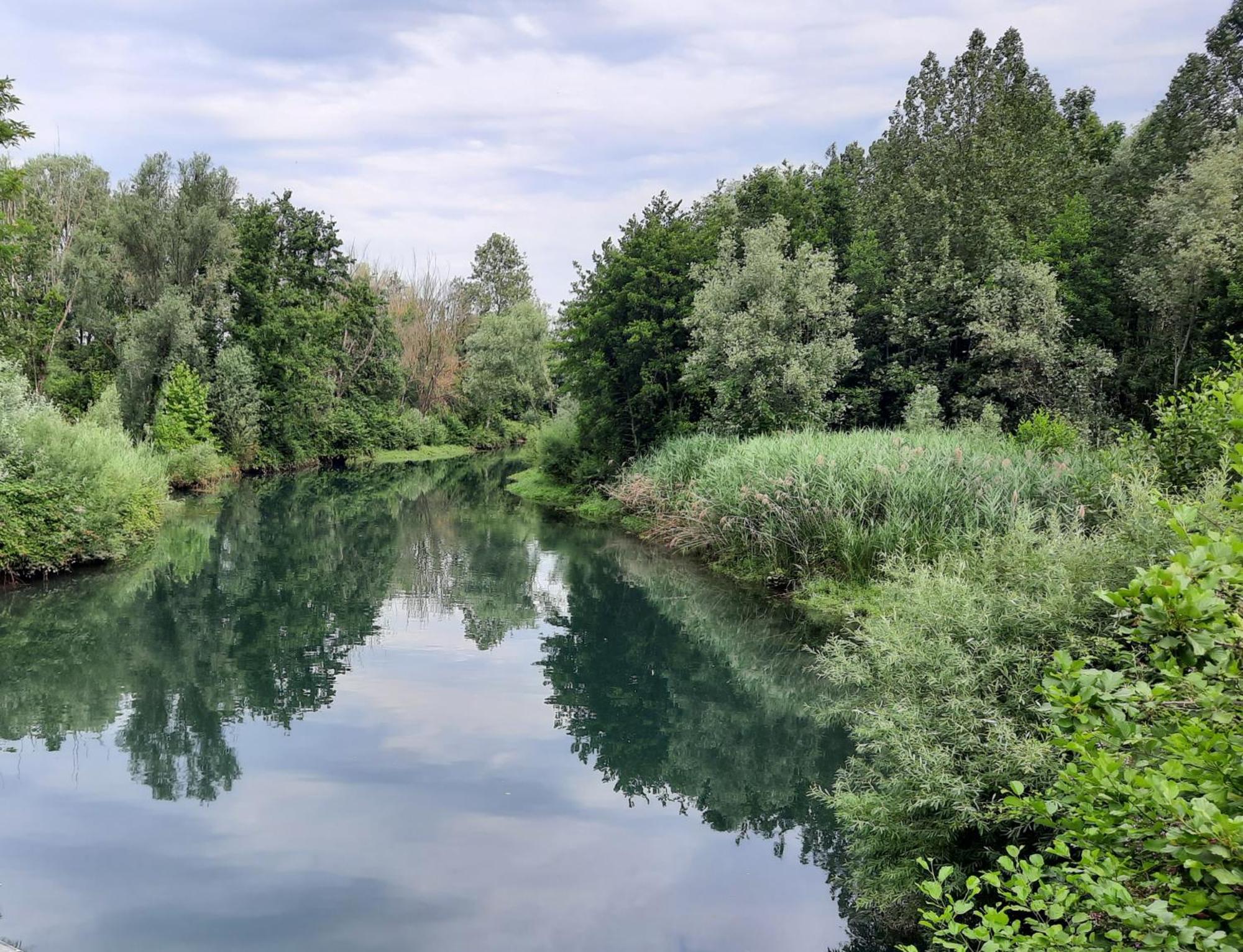 Siore Marie Gli Alloggi San Giórgio di Nogaro Exterior foto